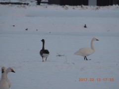 DSCN6277.JPG