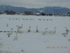 DSCN6268.JPG