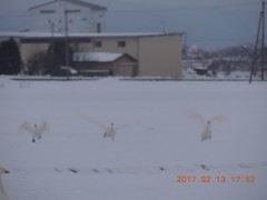 DSCN6282.JPG