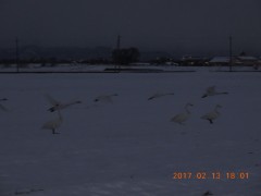 DSCN6293.JPG