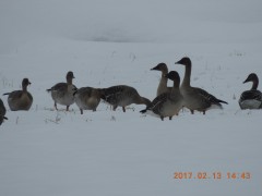 DSCN6274.JPG