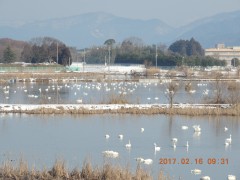 DSCN6314.JPG