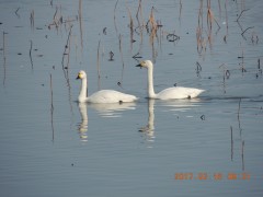 DSCN6315.JPG