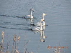 DSCN6322.JPG