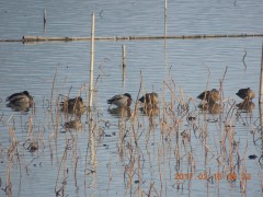 DSCN6316.JPG