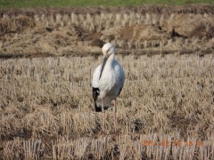 DSCN6390.JPG