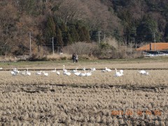 DSCN6383.JPG