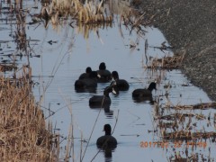 DSCN6558.JPG