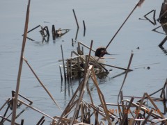 DSCN6559.JPG