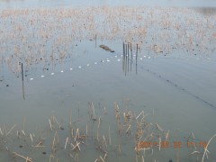 DSCN6561.JPG