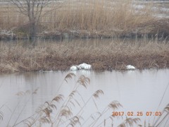 DSCN6613.JPG