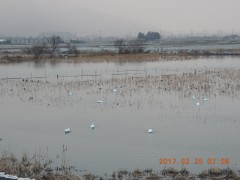DSCN6615.JPG