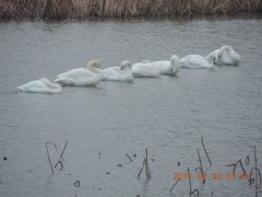 DSCN6619.JPG