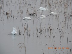 DSCN6623.JPG