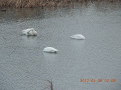 DSCN6621.JPG