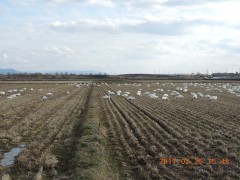 DSCN6635.JPG