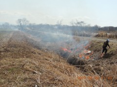 DSCN6663.JPG