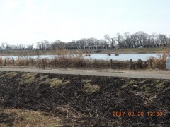 DSCN6667.JPG