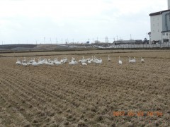 DSCN6758.JPG
