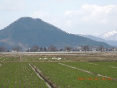 DSCN6747.JPG