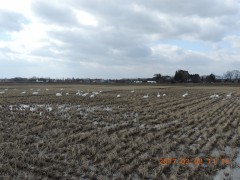 DSCN6770.JPG