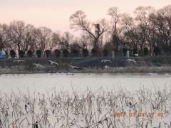 DSCN6866.JPG