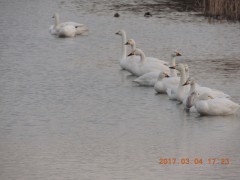 DSCN6858.JPG