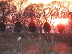 DSCN6873.JPG