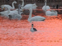 DSCN6886.JPG