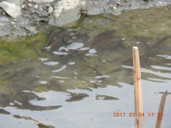 DSCN6859.JPG