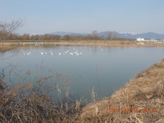DSCN6907.JPG