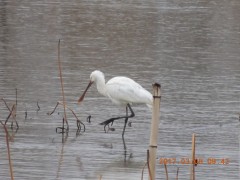 DSCN6939.JPG