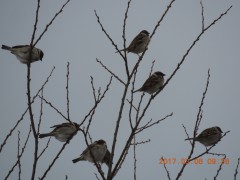 DSCN6938.JPG