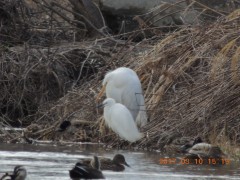 DSCN6986.JPG