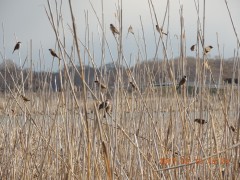DSCN6991.JPG
