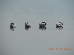 DSCN7042.JPG