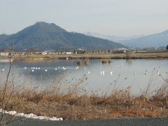 DSCN7039.JPG