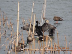 DSCN7195.JPG