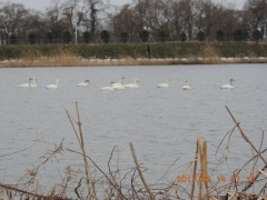 DSCN7148.JPG