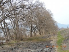 DSCN7295.JPG