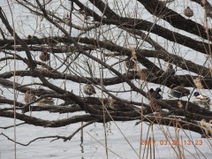 DSCN7291.JPG