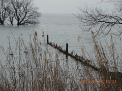 DSCN7286.JPG