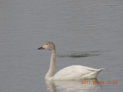 DSCN7315.JPG