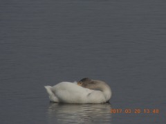 DSCN7303.JPG