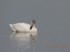 DSCN7306.JPG