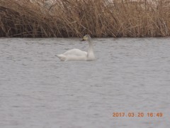 DSCN7318.JPG