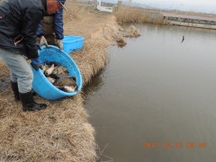 DSCN7328.JPG