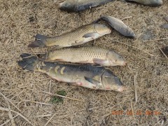 DSCN7325.JPG