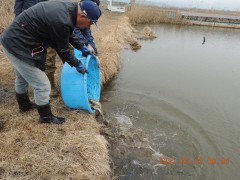DSCN7329.JPG