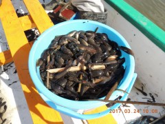 DSCN7345.JPG